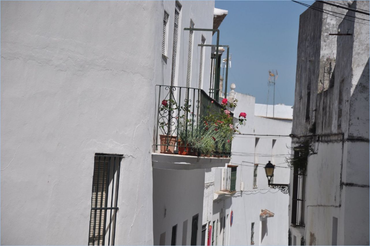 248-Vejer de la Frontera